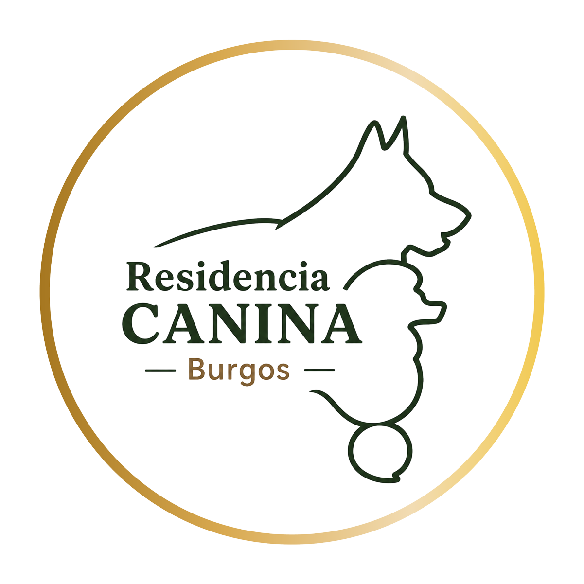Residencia Canina Burgos